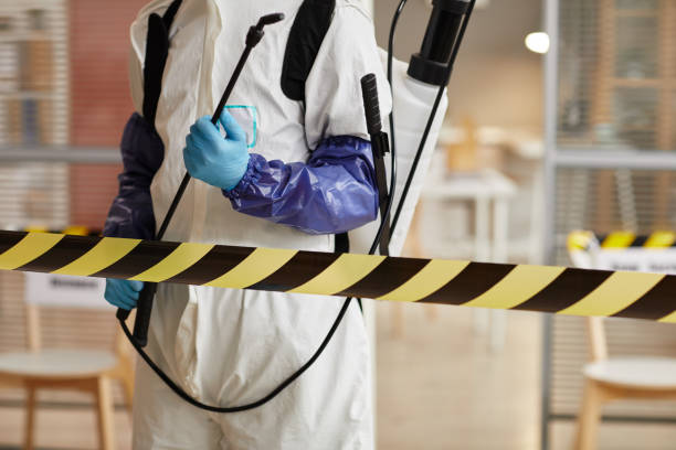 Professional Odor Removal technician working in Albion, NE